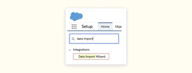 Salesforce data import wizard