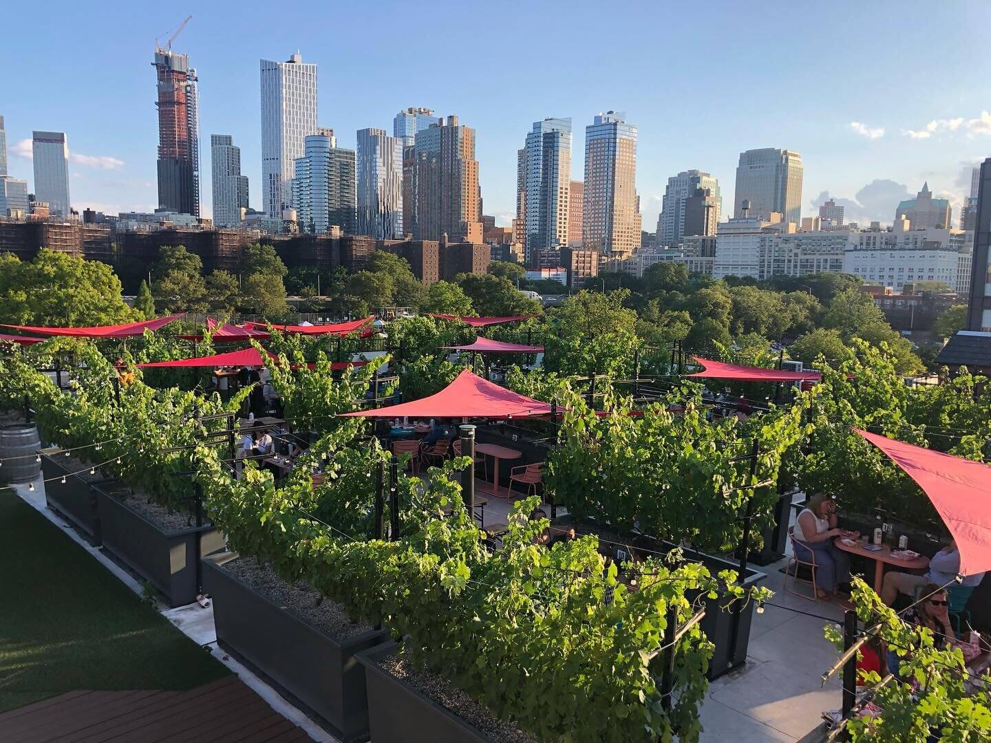 Pies Under the Sky Happy Hour